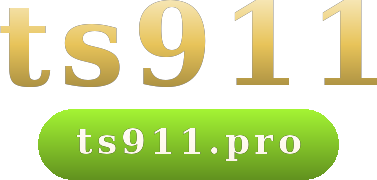 ts911 โลโก้